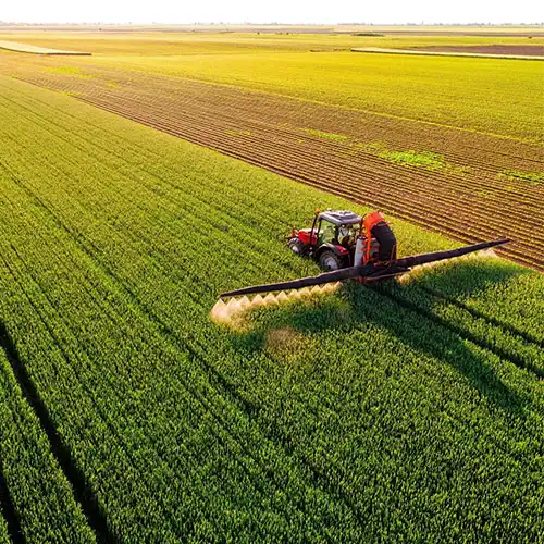 هلدینگ کشاورزی روز بخیر