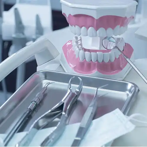 شرکت افرا دانش رایکا