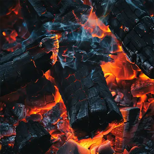 مجموعه بسته بندی ذغال رویال