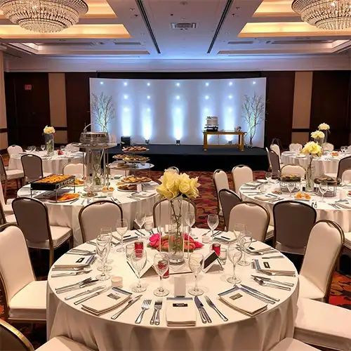 هلدینگ ایده پردازان ستایش رنگی